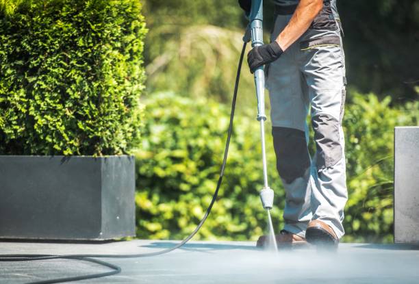 Solar Panel Cleaning in Griswold, IA